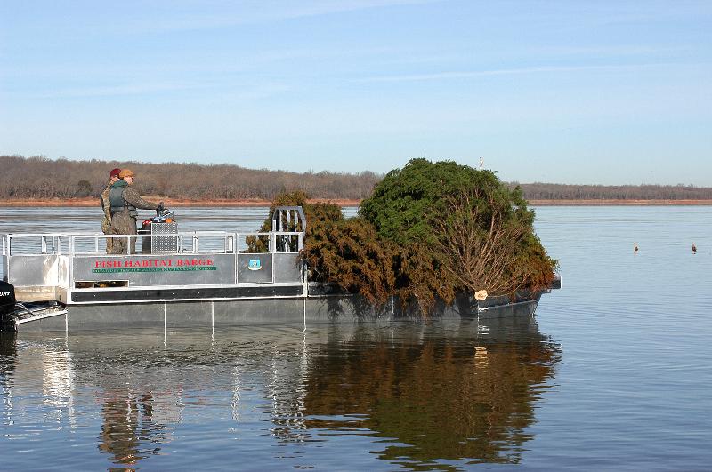 cedar tree fish attractor